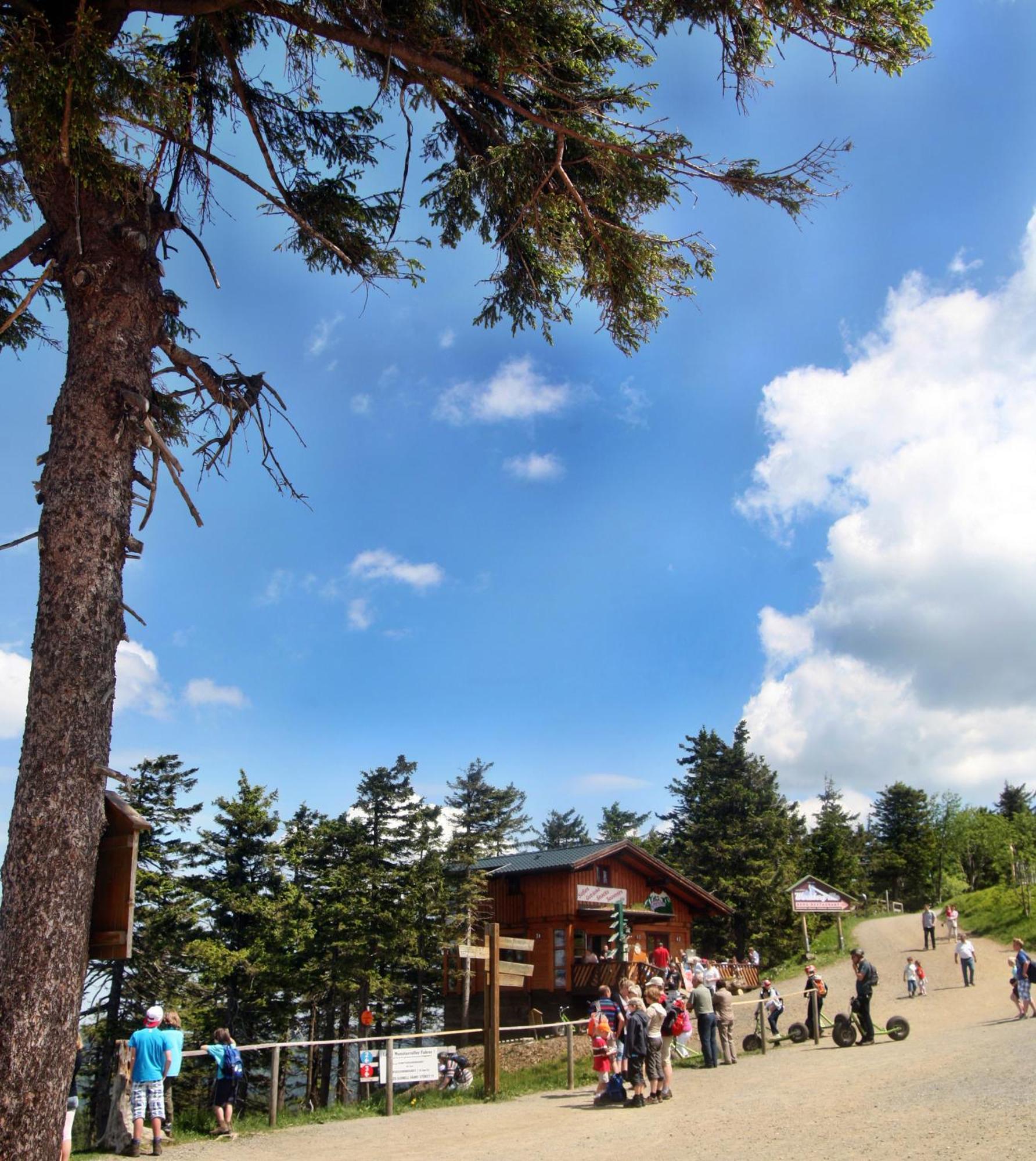 Hotel Relexa Harz-wald Gmbh 4*